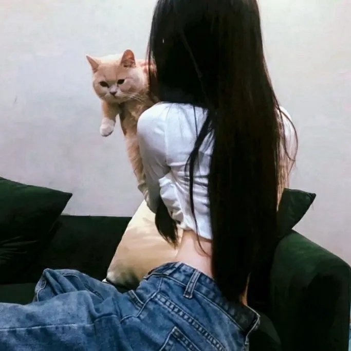 活动写真